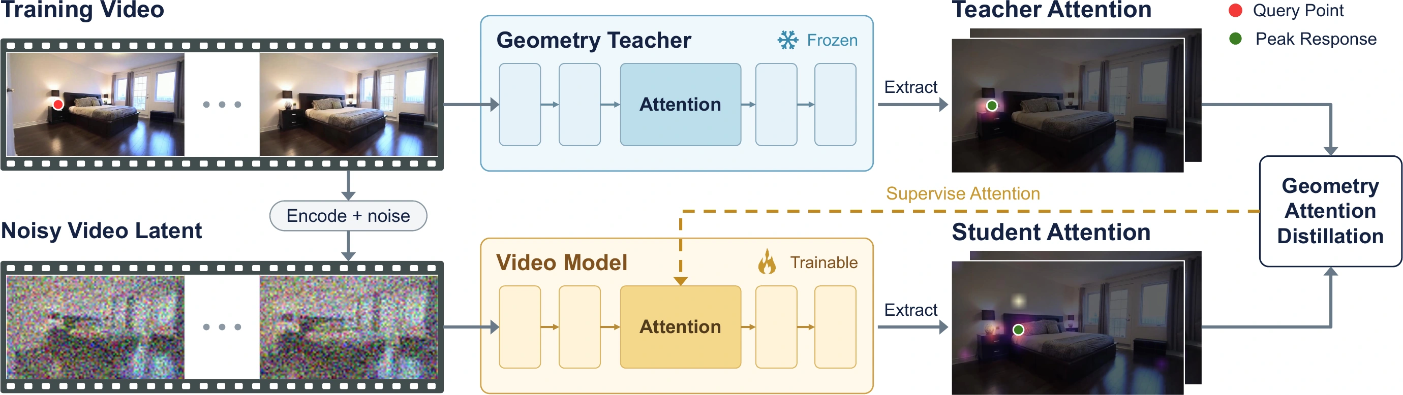 GAD overview: a frozen geometry teacher extracts correspondence targets from clean videos, which supervise video attention at a noise-selected layer during training.